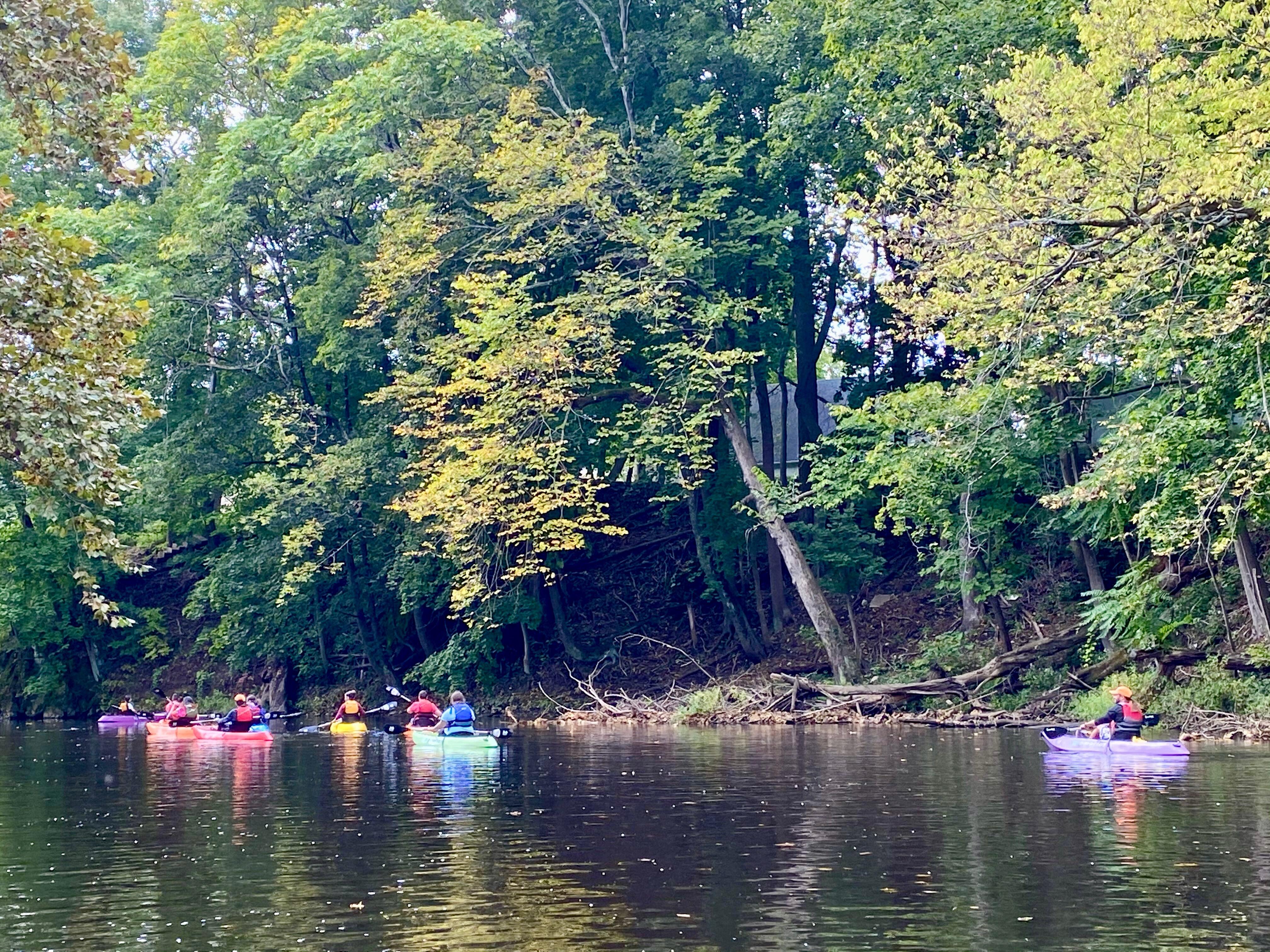 kayakers on the water