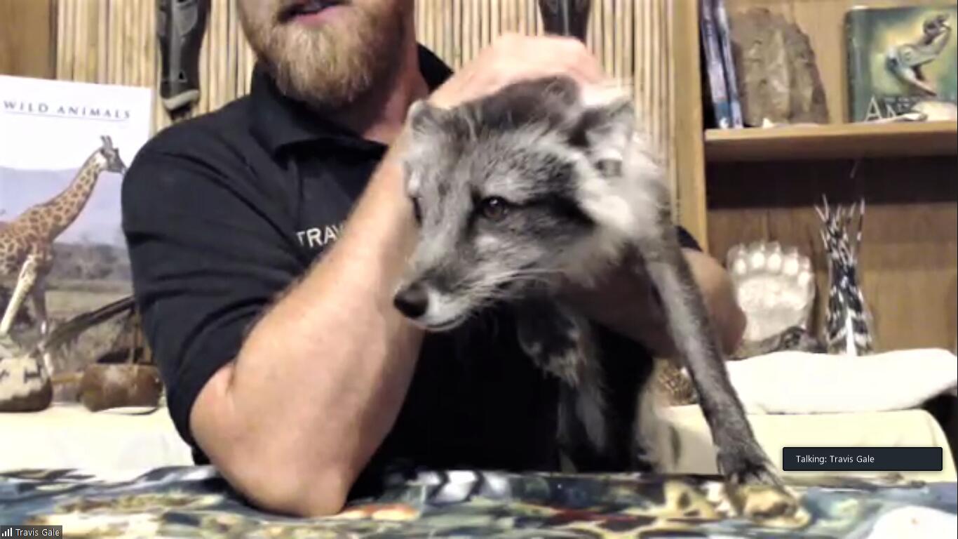 picture of man holding an arctic fox